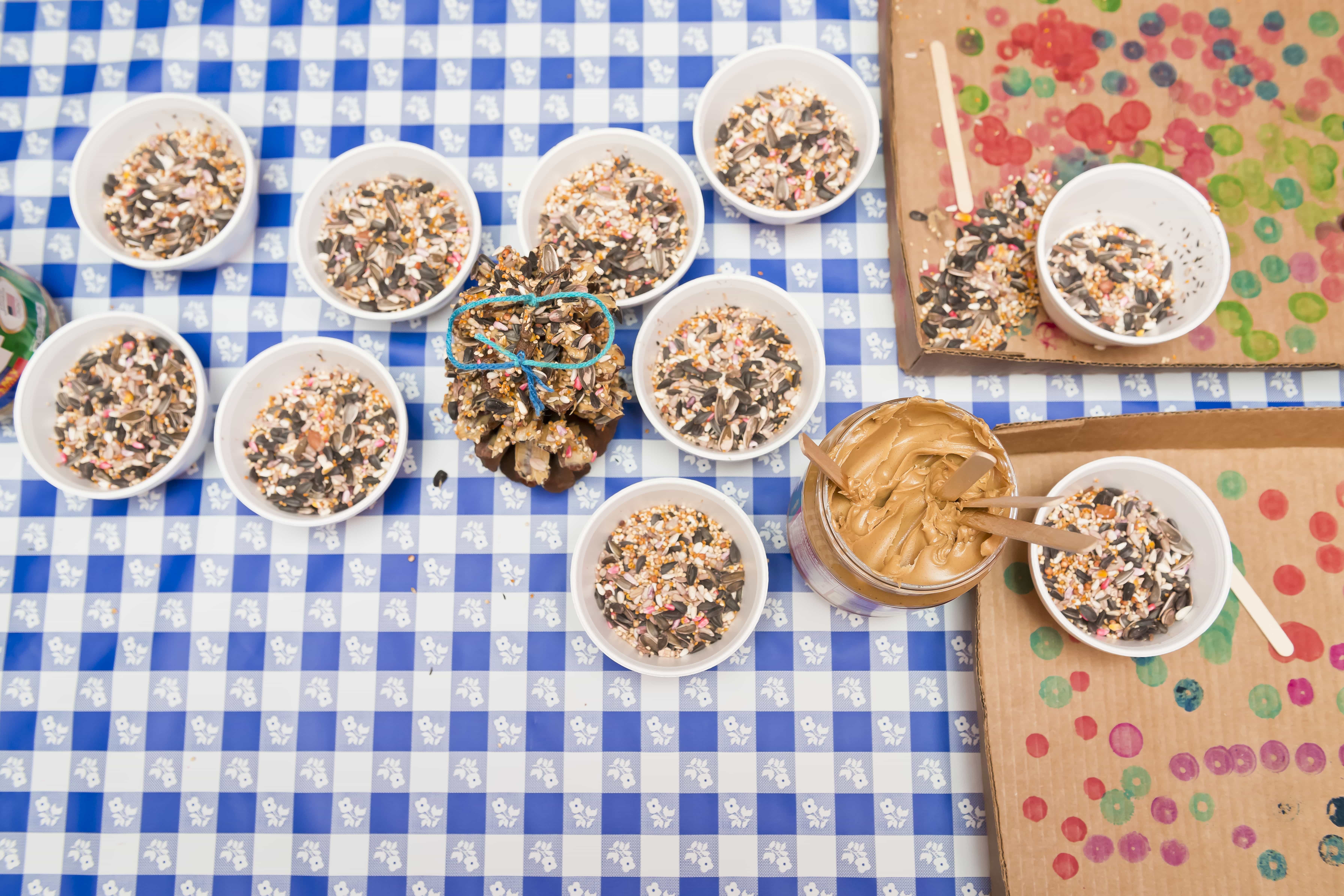 Images: Anthony Rathbun - www.anthonyrathbun.com