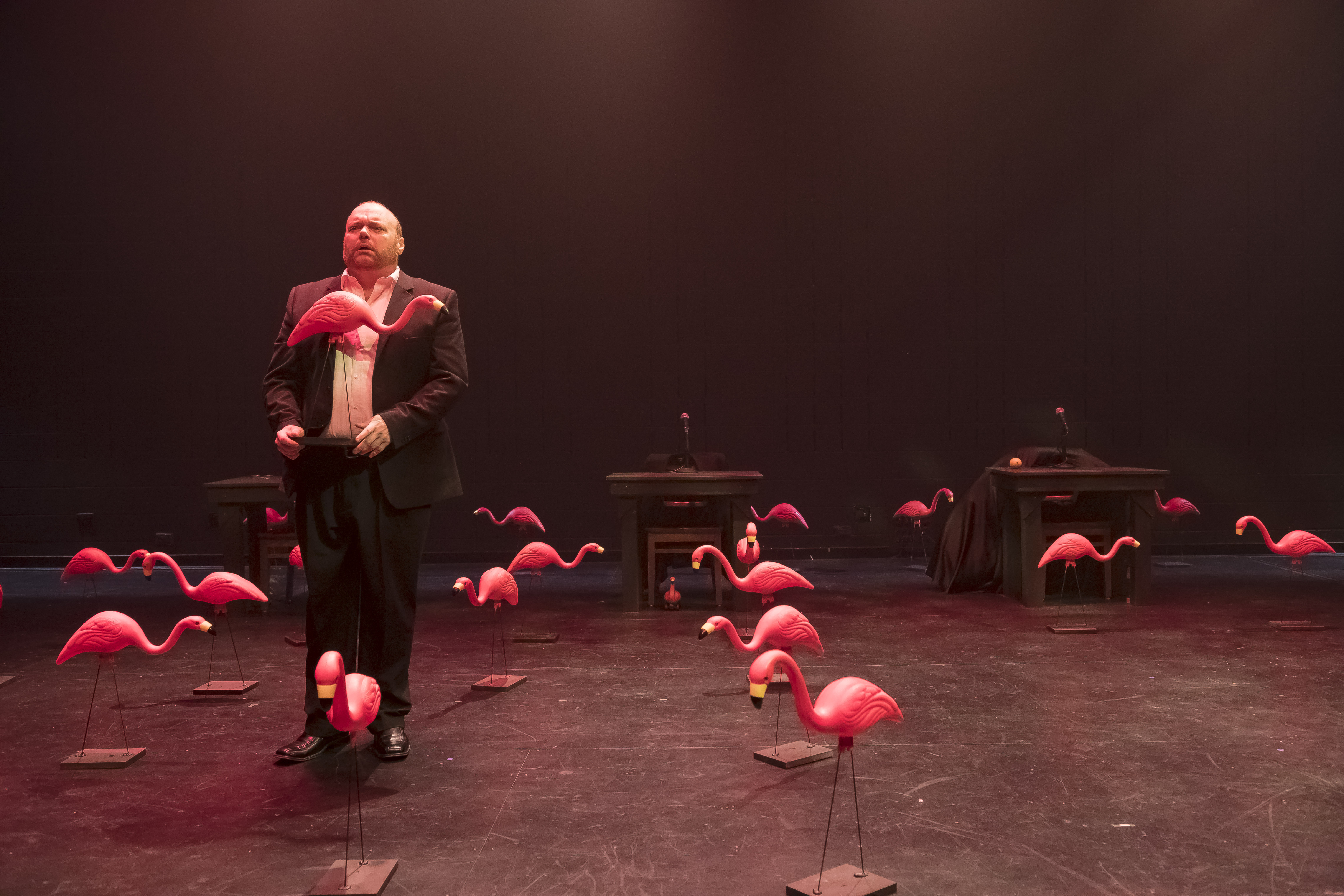 TOAST - Directed by Brian Jucha