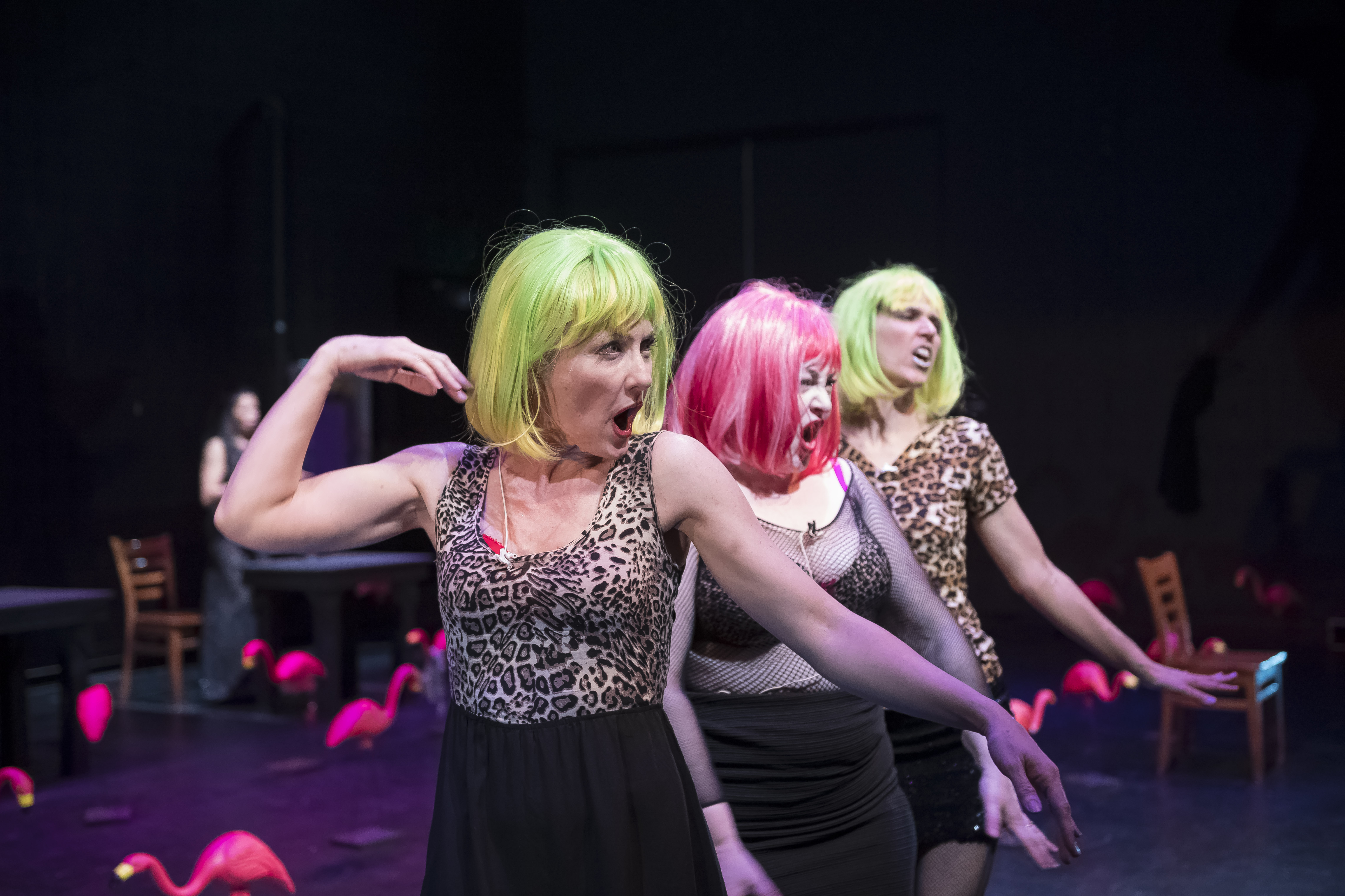 TOAST - Directed by Brian Jucha